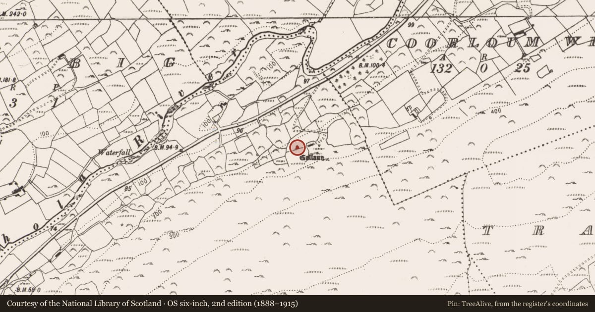 Ordnance Survey six-inch map, 2nd edition (1888–1915) covering the location of Standing stone, Cooryleary, County Cork, with a pin at the register's coordinates