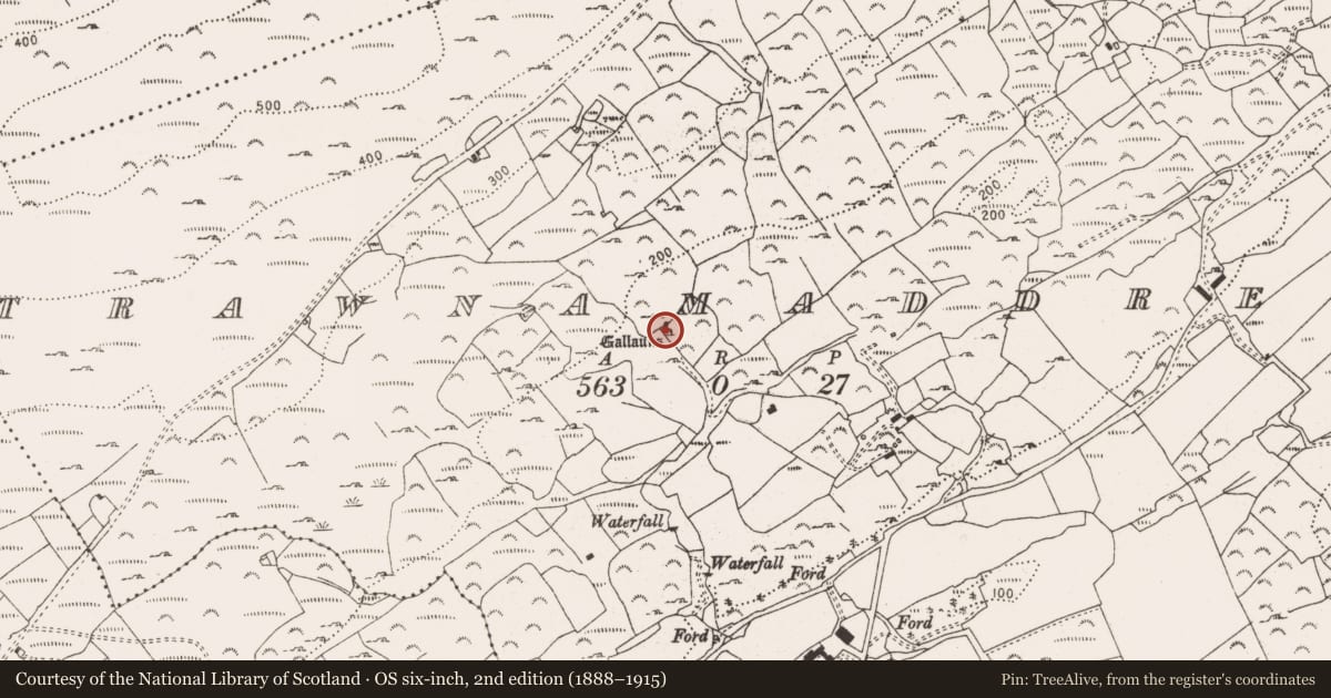 Ordnance Survey six-inch map, 2nd edition (1888–1915) covering the location of Standing stone - pair, Trawnamaddree, County Cork, with a pin at the register's coordinates