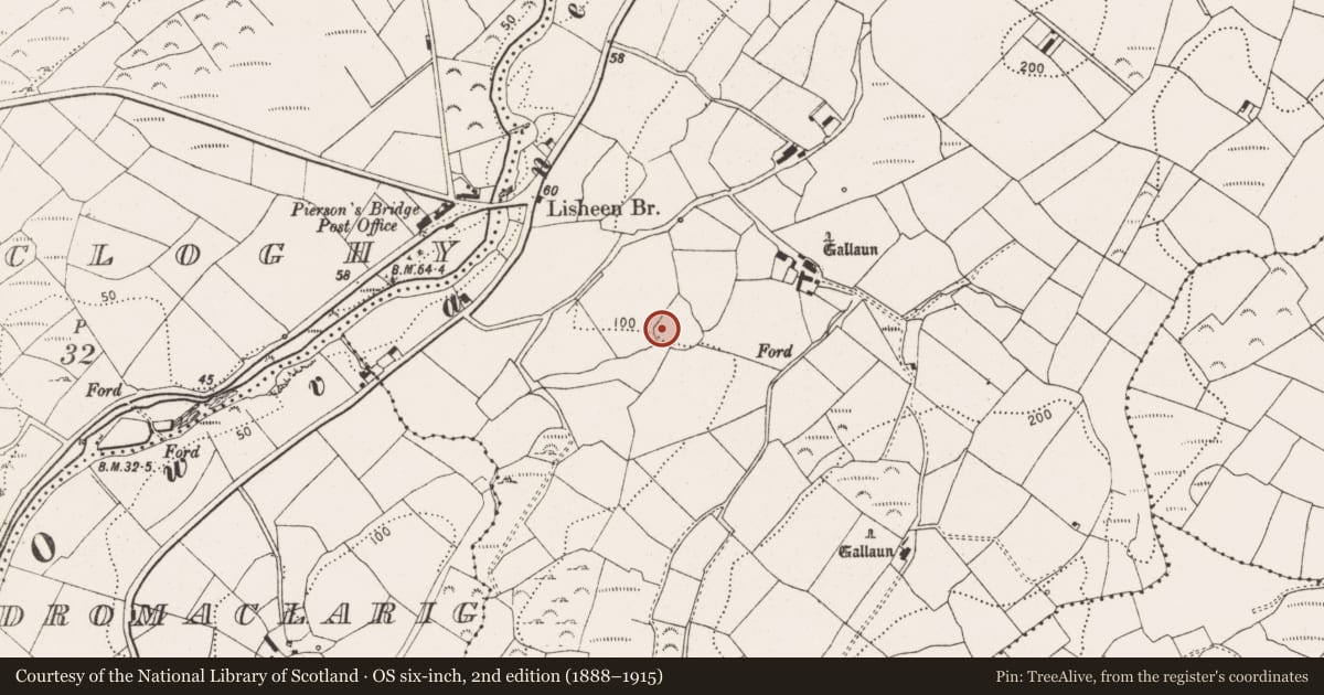 Ordnance Survey six-inch map, 2nd edition (1888–1915) covering the location of Enclosure, Lisheen, County Cork, with a pin at the register's coordinates