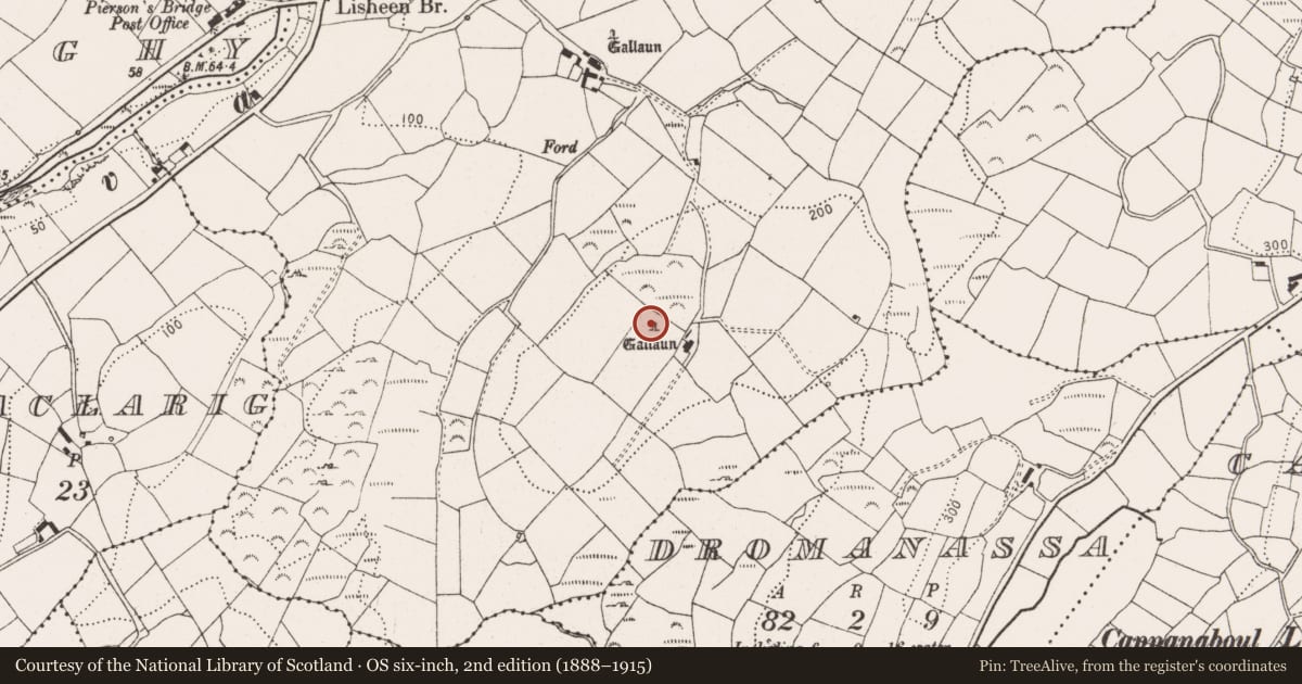 Ordnance Survey six-inch map, 2nd edition (1888–1915) covering the location of Standing stone, Lisheen, County Cork, with a pin at the register's coordinates