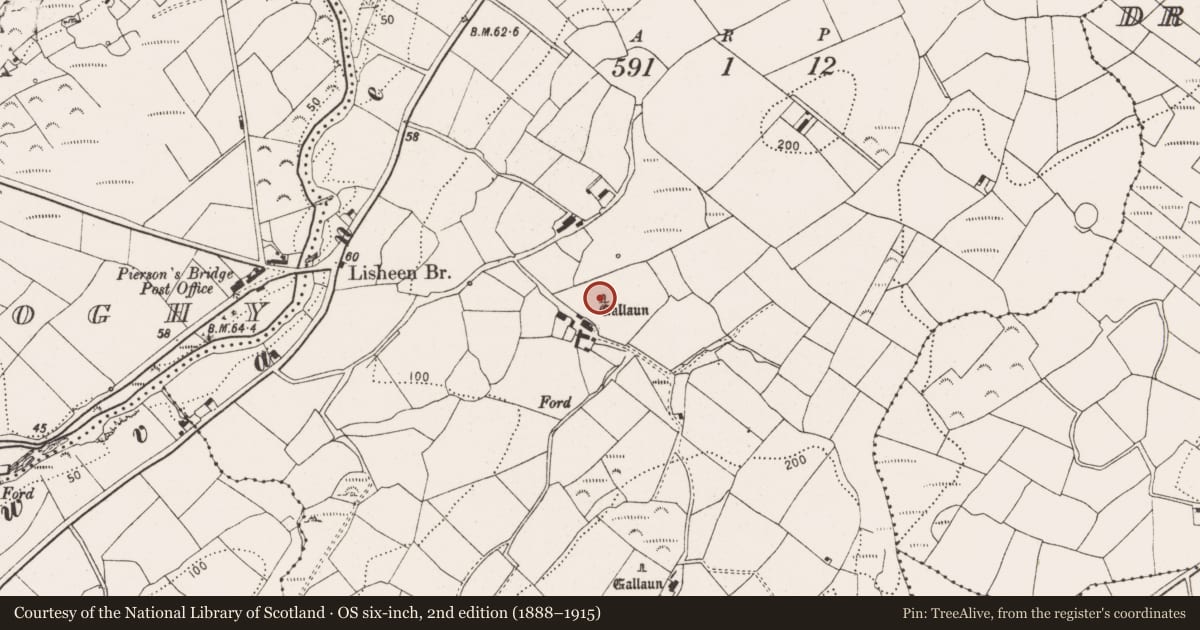 Ordnance Survey six-inch map, 2nd edition (1888–1915) covering the location of Standing stone, Lisheen, County Cork, with a pin at the register's coordinates