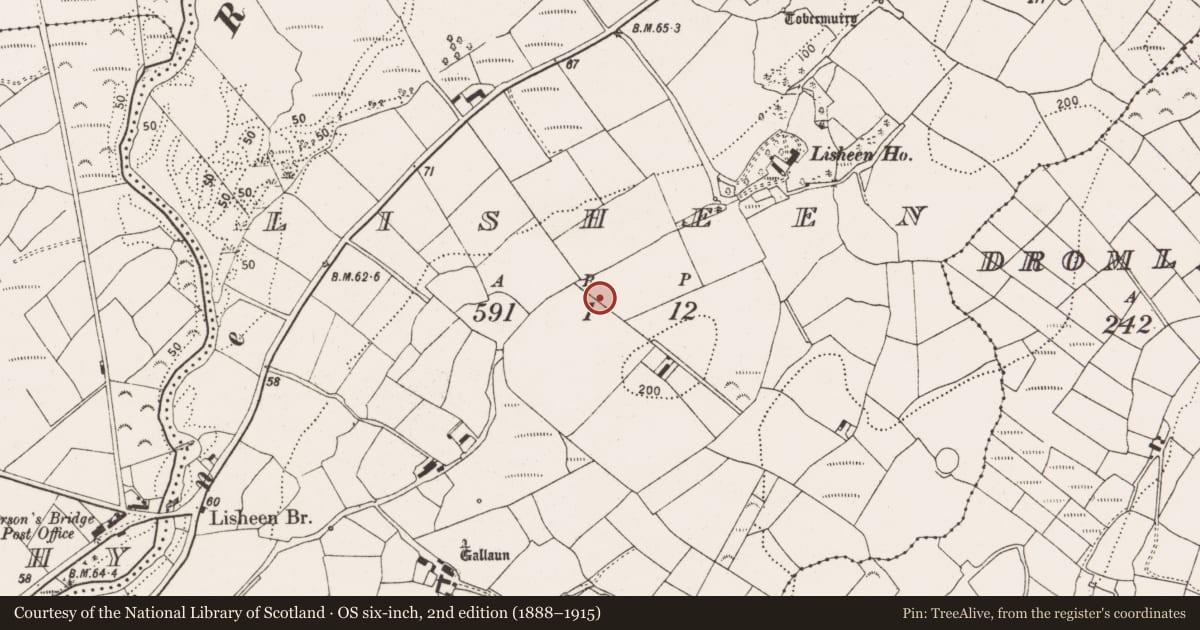 Ordnance Survey six-inch map, 2nd edition (1888–1915) covering the location of Fulacht fia, Lisheen, County Cork, with a pin at the register's coordinates