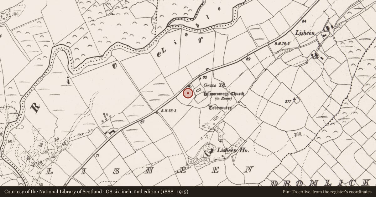 Ordnance Survey six-inch map, 2nd edition (1888–1915) covering the location of Souterrain, Lisheen, County Cork, with a pin at the register's coordinates