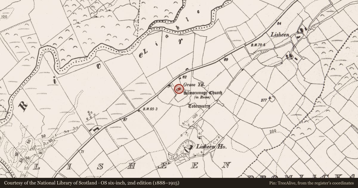 Ordnance Survey six-inch map, 2nd edition (1888–1915) covering the location of Graveyard, Lisheen, County Cork, with a pin at the register's coordinates
