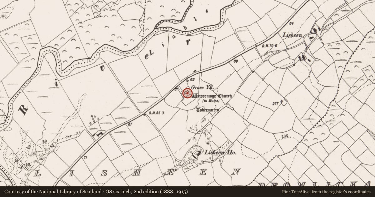 Ordnance Survey six-inch map, 2nd edition (1888–1915) covering the location of Church, Lisheen, County Cork, with a pin at the register's coordinates