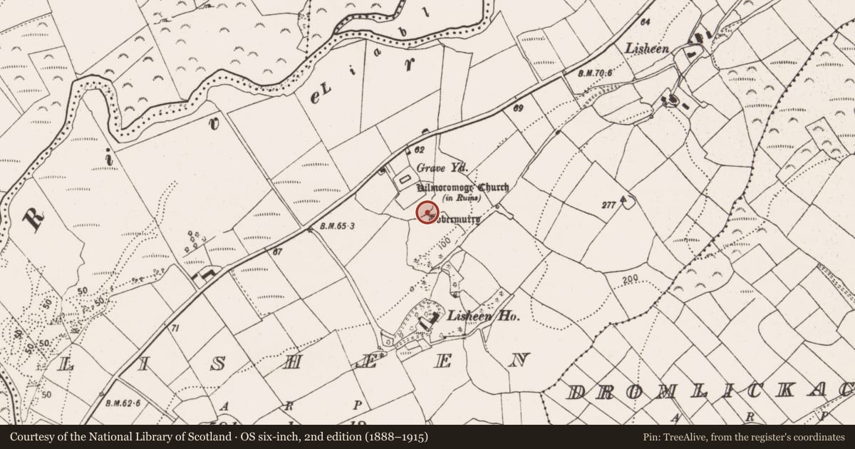 Ordnance Survey six-inch map, 2nd edition (1888–1915) covering the location of Ritual site - holy well, Lisheen, County Cork, with a pin at the register's coordinates