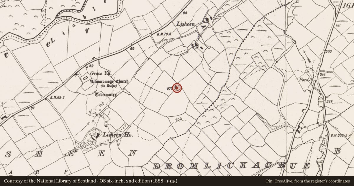Ordnance Survey six-inch map, 2nd edition (1888–1915) covering the location of Ringfort - rath, Lisheen, County Cork, with a pin at the register's coordinates