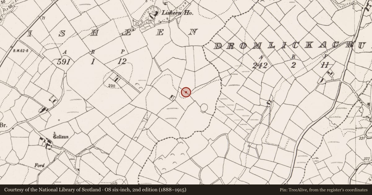 Ordnance Survey six-inch map, 2nd edition (1888–1915) covering the location of Fulacht fia, Lisheen, County Cork, with a pin at the register's coordinates