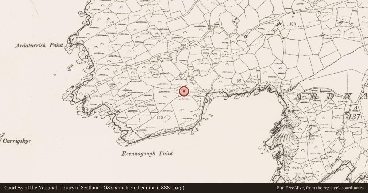 Ordnance Survey six-inch map, 2nd edition (1888–1915) covering the location of Burial ground, Ardaturrish More, County Cork, with a pin at the register's coordinates