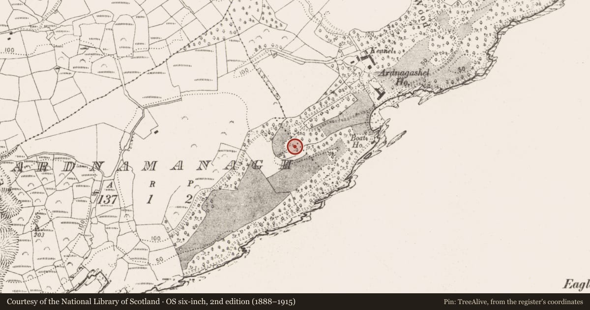 Ordnance Survey six-inch map, 2nd edition (1888–1915) covering the location of Burial ground, Ardnamanagh, County Cork, with a pin at the register's coordinates