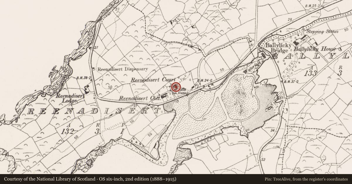 Ordnance Survey six-inch map, 2nd edition (1888–1915) covering the location of House - fortified house, Reenadisert, County Cork, with a pin at the register's coordinates