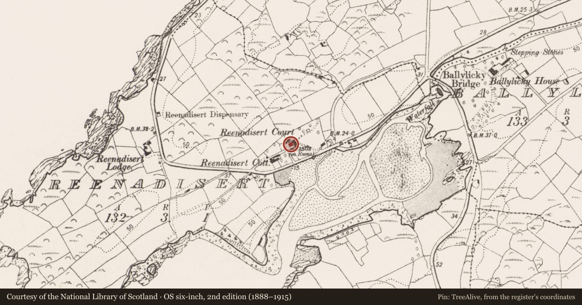 Ordnance Survey six-inch map, 2nd edition (1888–1915) covering the location of Country house, Reenadisert, County Cork, with a pin at the register's coordinates