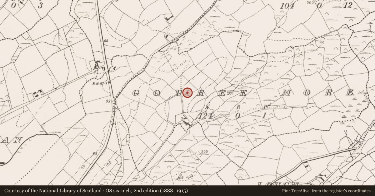 Ordnance Survey six-inch map, 2nd edition (1888–1915) covering the location of Ringfort - rath, Gouree More, County Cork, with a pin at the register's coordinates