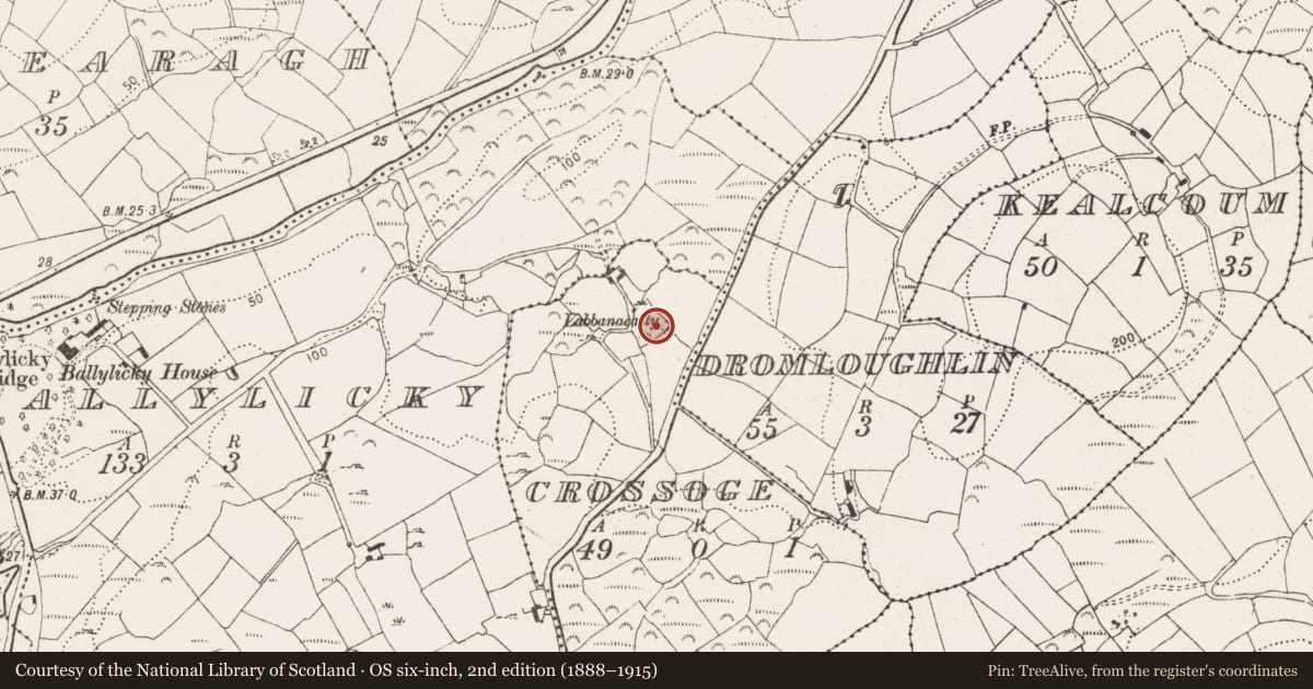 Ordnance Survey six-inch map, 2nd edition (1888–1915) covering the location of Megalithic tomb - wedge tomb, Crossoge, County Cork, with a pin at the register's coordinates