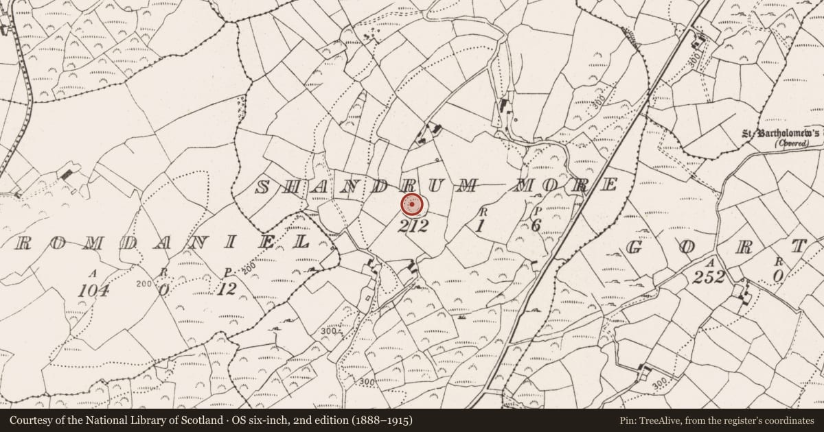 Ordnance Survey six-inch map, 2nd edition (1888–1915) covering the location of Souterrain, Shandrum More, County Cork, with a pin at the register's coordinates