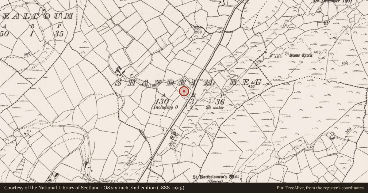 Ordnance Survey six-inch map, 2nd edition (1888–1915) covering the location of Ringfort - rath, Shandrum Beg, County Cork, with a pin at the register's coordinates