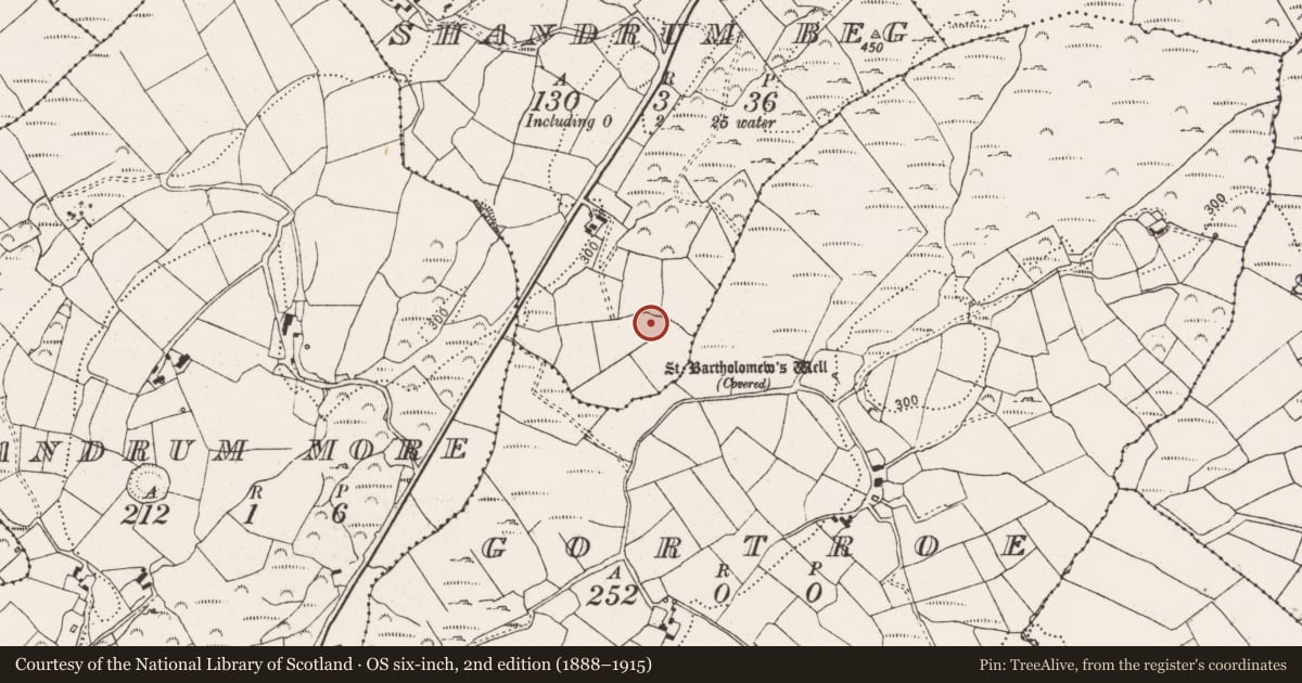 Ordnance Survey six-inch map, 2nd edition (1888–1915) covering the location of Standing stone, Shandrum Beg, County Cork, with a pin at the register's coordinates