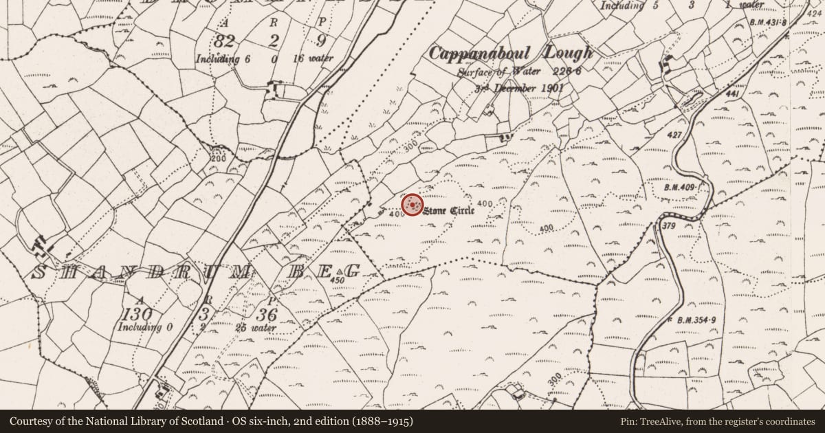 Ordnance Survey six-inch map, 2nd edition (1888–1915) covering the location of Stone circle - multiple-stone, Cappanaboul, County Cork, with a pin at the register's coordinates