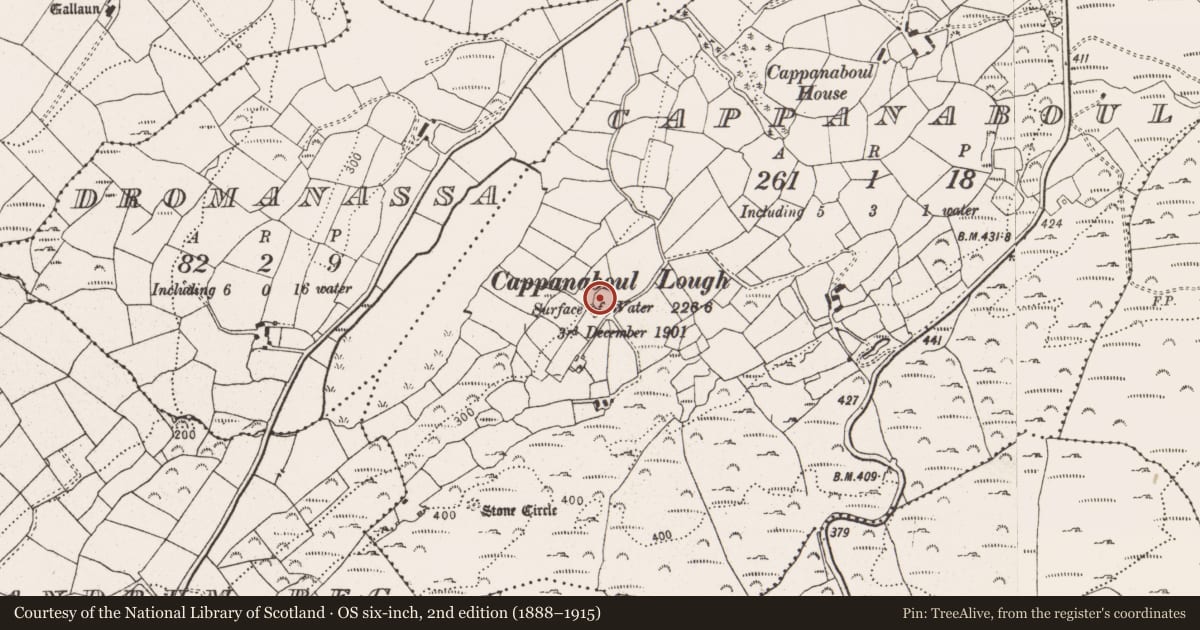Ordnance Survey six-inch map, 2nd edition (1888–1915) covering the location of Ringfort - rath, Cappanaboul, County Cork, with a pin at the register's coordinates