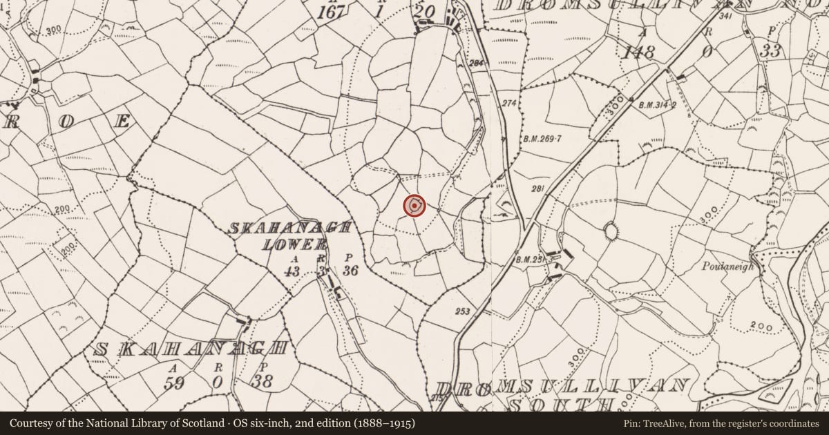 Ordnance Survey six-inch map, 2nd edition (1888–1915) covering the location of Ringfort - cashel, Skahanagh More, County Cork, with a pin at the register's coordinates