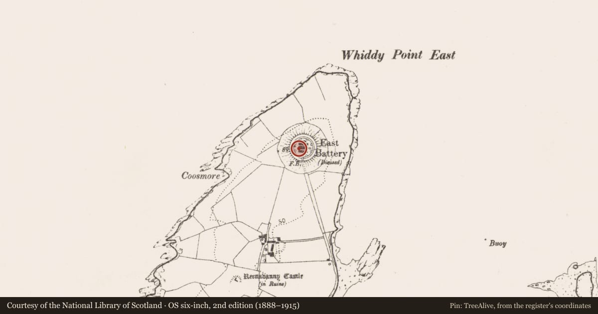 Ordnance Survey six-inch map, 2nd edition (1888–1915) covering the location of Battery, Reenavanny (Whiddy Island), County Cork, with a pin at the register's coordinates