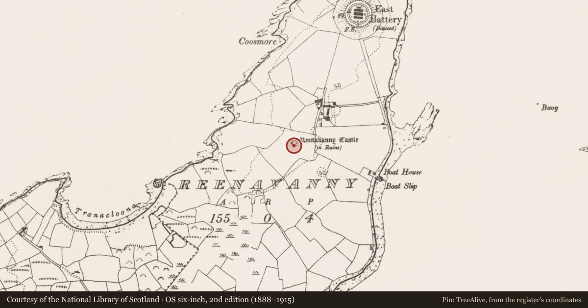 Ordnance Survey six-inch map, 2nd edition (1888–1915) covering the location of Castle - tower house, Reenavanny (Whiddy Island), County Cork, with a pin at the register's coordinates