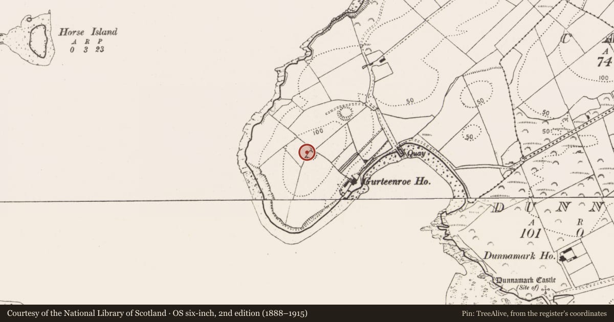 Ordnance Survey six-inch map, 2nd edition (1888–1915) covering the location of Moated site, Gurteenroe, County Cork, with a pin at the register's coordinates