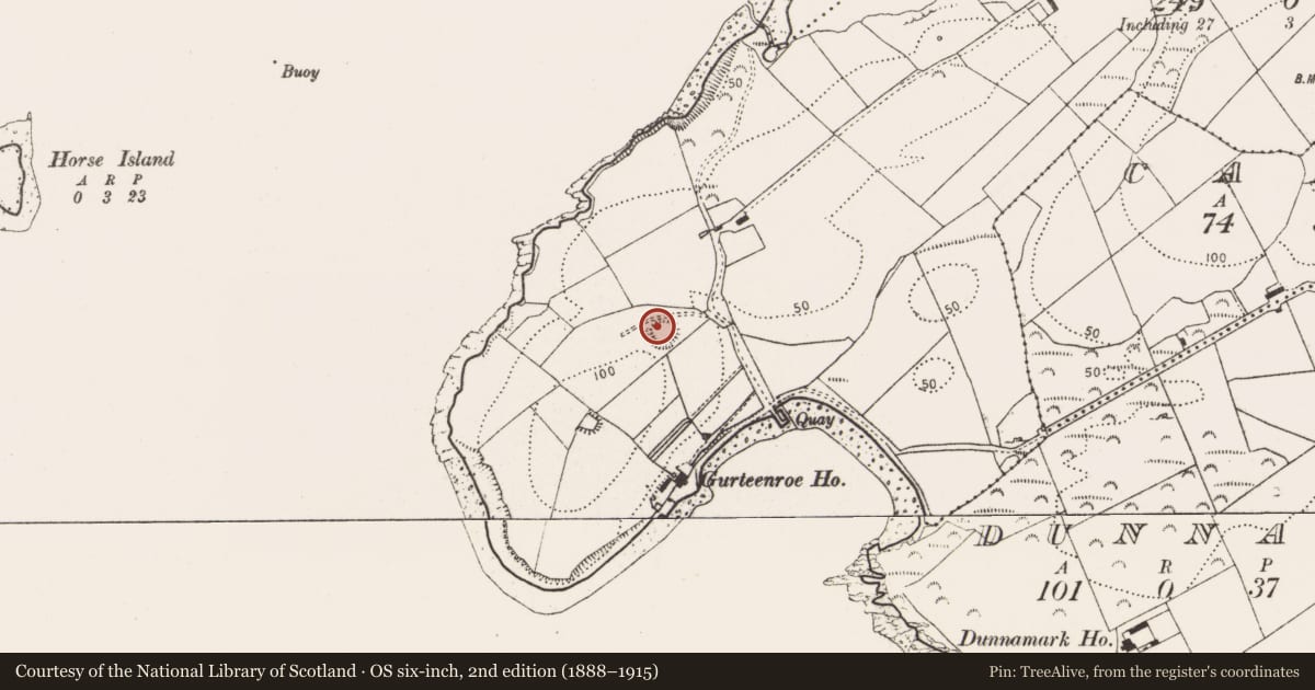 Ordnance Survey six-inch map, 2nd edition (1888–1915) covering the location of Souterrain, Gurteenroe, County Cork, with a pin at the register's coordinates