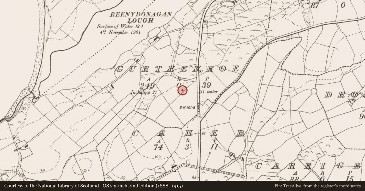 Ordnance Survey six-inch map, 2nd edition (1888–1915) covering the location of Souterrain, Gurteenroe, County Cork, with a pin at the register's coordinates