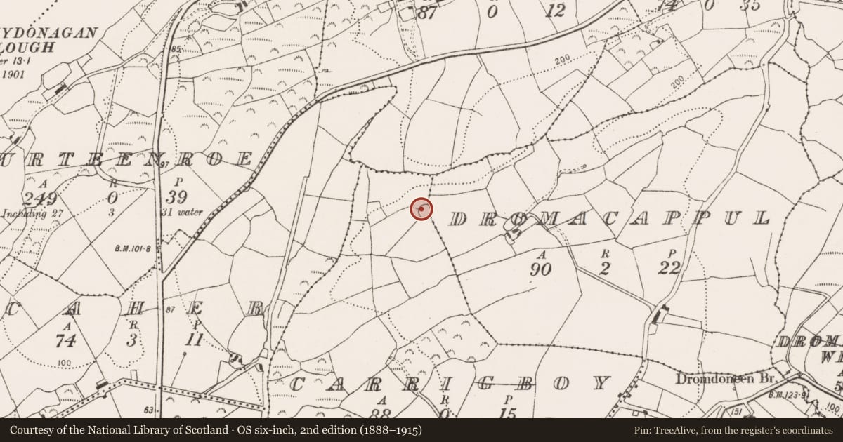 Ordnance Survey six-inch map, 2nd edition (1888–1915) covering the location of Ringfort - rath, Carrigboy, County Cork, with a pin at the register's coordinates