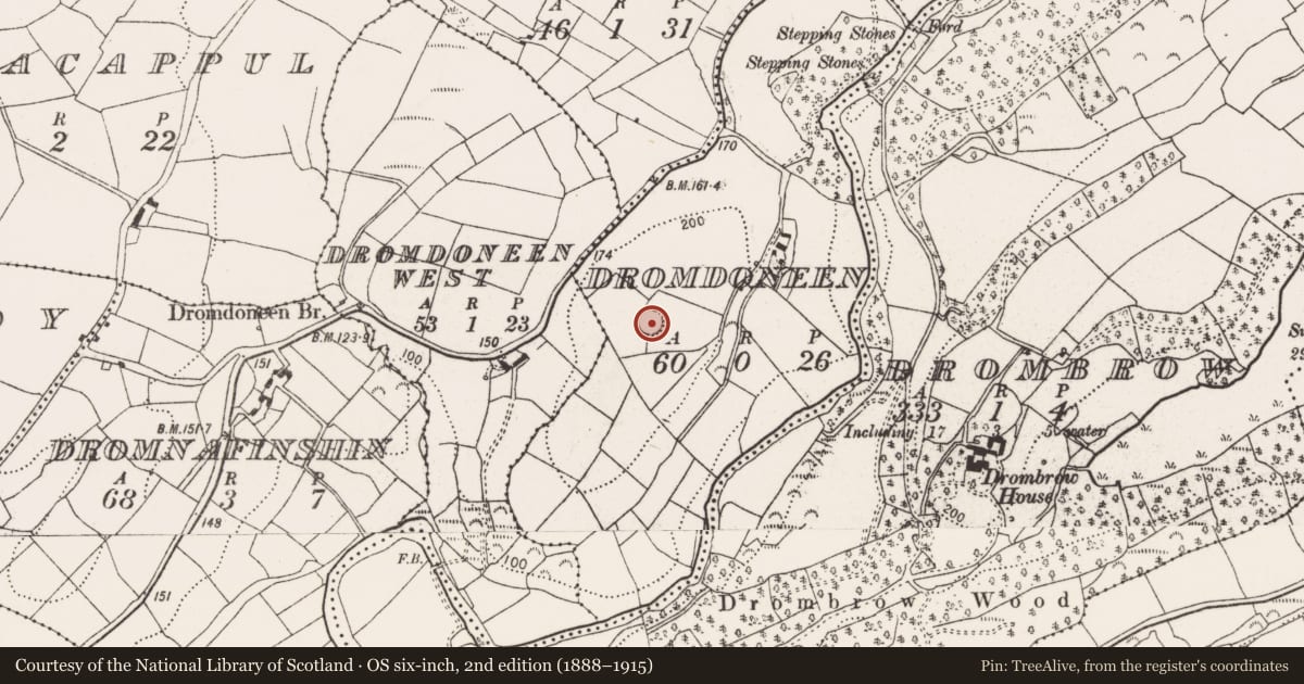 Ordnance Survey six-inch map, 2nd edition (1888–1915) covering the location of Ringfort - rath, Dromdoneen, County Cork, with a pin at the register's coordinates