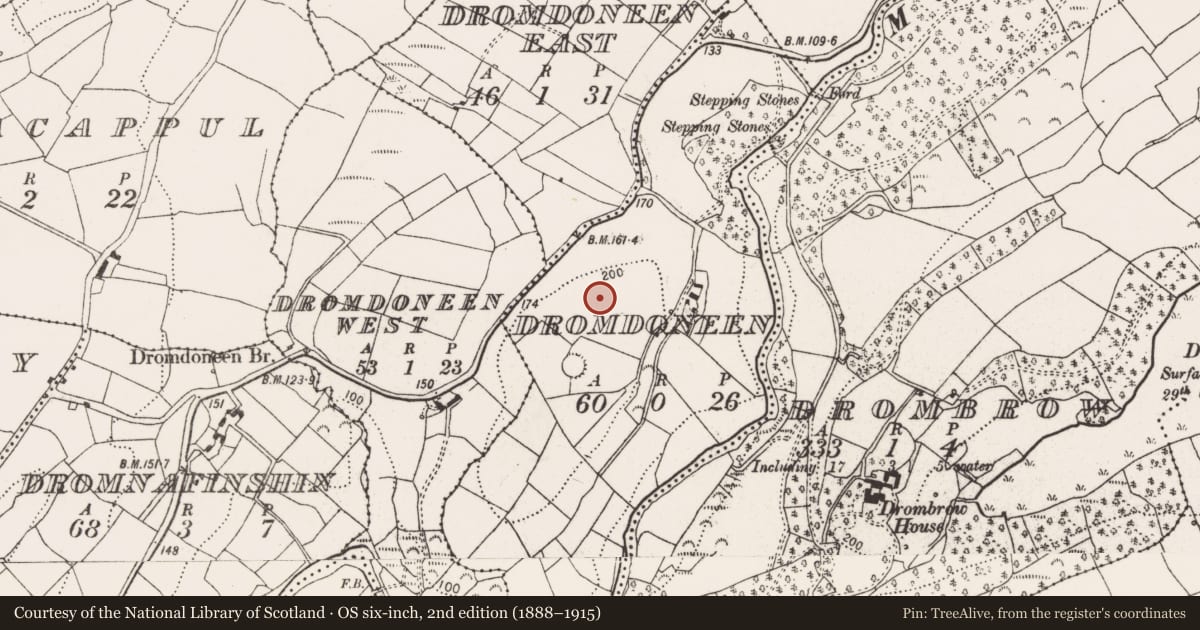 Ordnance Survey six-inch map, 2nd edition (1888–1915) covering the location of Ringfort - rath, Dromdoneen, County Cork, with a pin at the register's coordinates