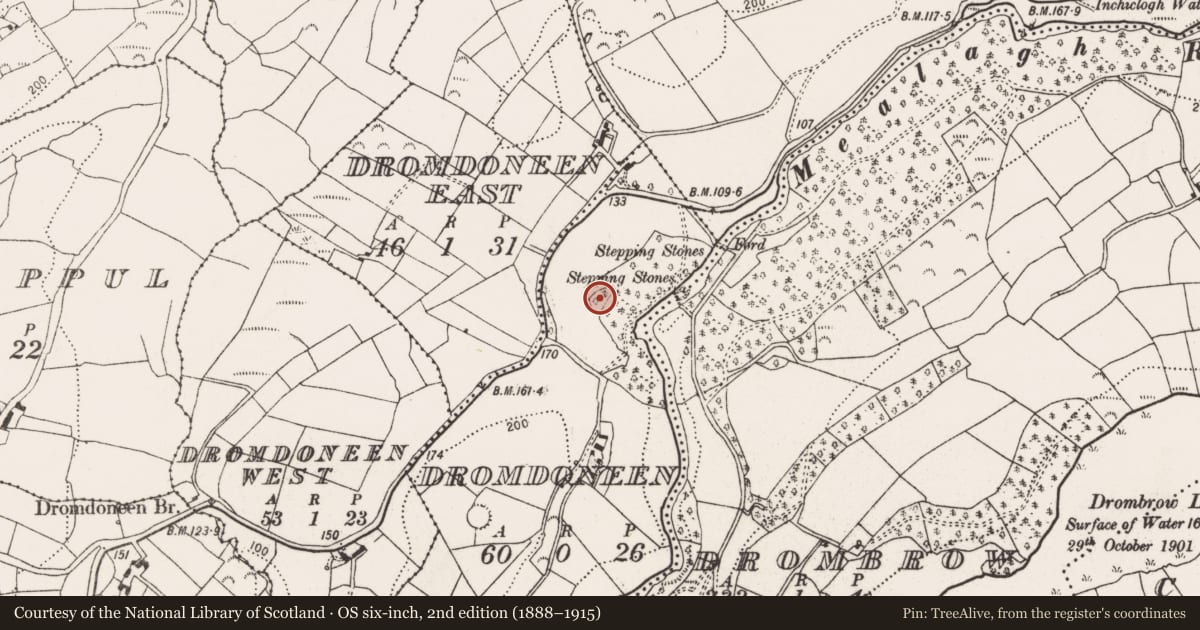 Ordnance Survey six-inch map, 2nd edition (1888–1915) covering the location of Cliff-edge fort, Dromdoneen, County Cork, with a pin at the register's coordinates