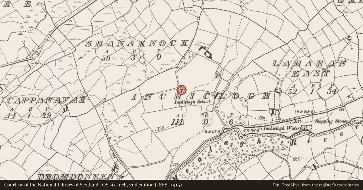 Ordnance Survey six-inch map, 2nd edition (1888–1915) covering the location of Ringfort - rath, Inchiclogh, County Cork, with a pin at the register's coordinates