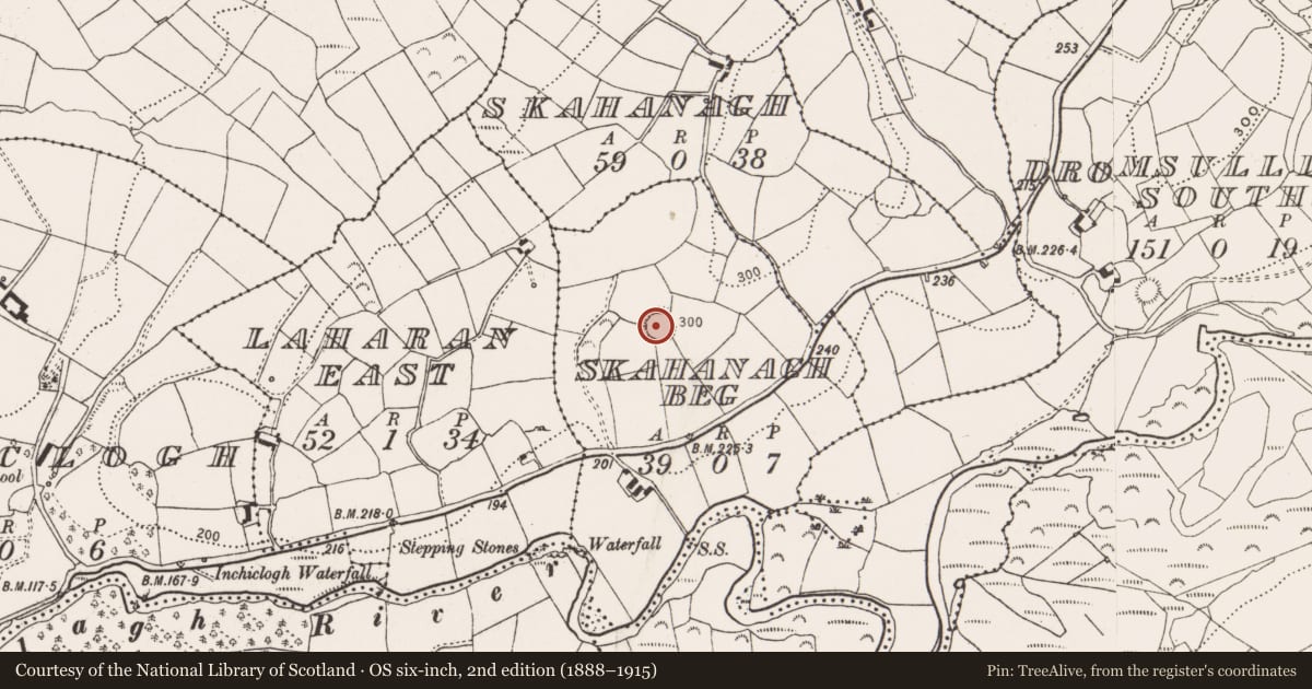 Ordnance Survey six-inch map, 2nd edition (1888–1915) covering the location of Ringfort - rath, Skahanagh Beg, County Cork, with a pin at the register's coordinates