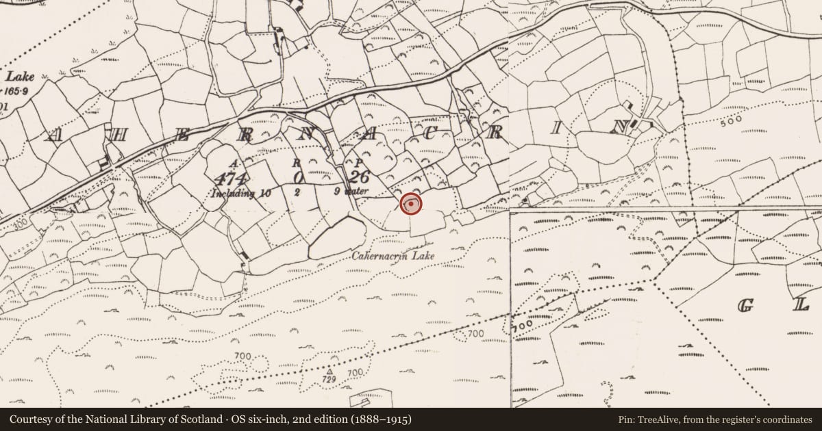 Ordnance Survey six-inch map, 2nd edition (1888–1915) covering the location of Ringfort - cashel, Cahernacrin, County Cork, with a pin at the register's coordinates