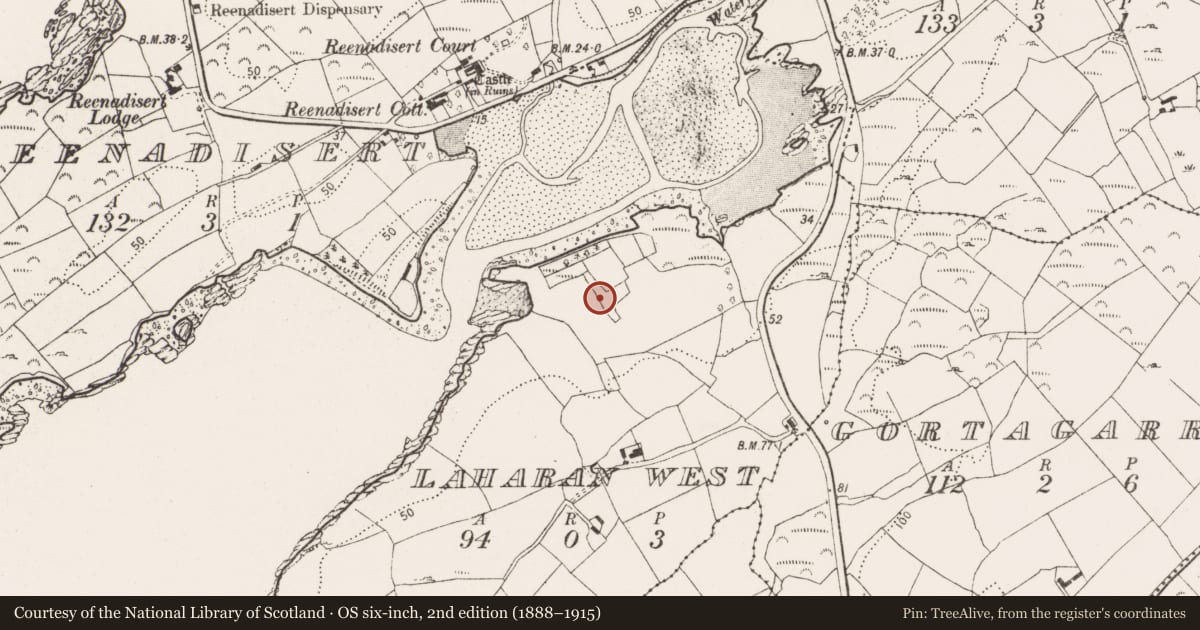 Ordnance Survey six-inch map, 2nd edition (1888–1915) covering the location of Fish palace, Laharan West, County Cork, with a pin at the register's coordinates