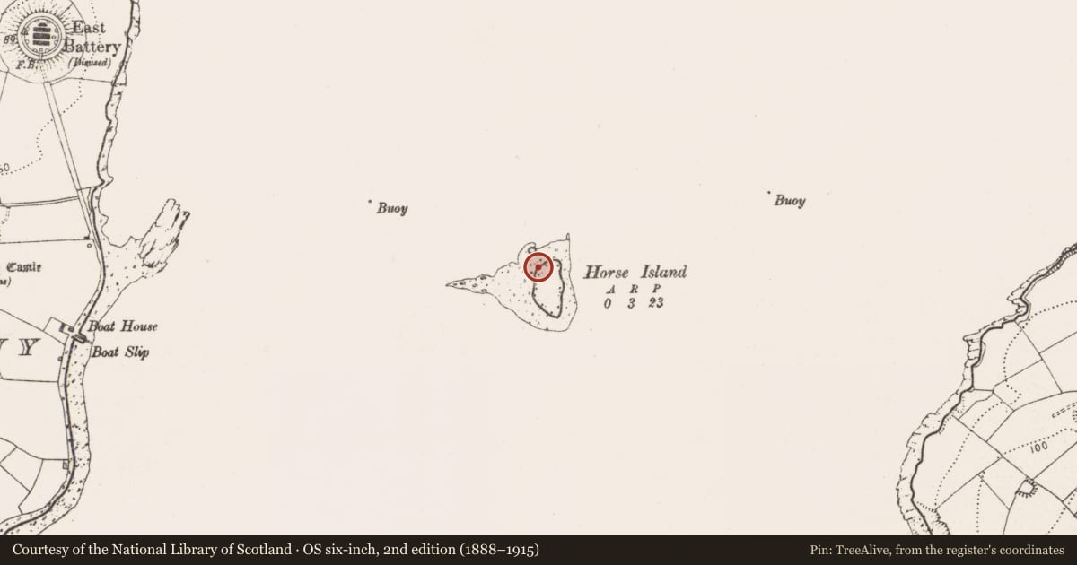 Ordnance Survey six-inch map, 2nd edition (1888–1915) covering the location of Battery, Horse Island, County Cork, with a pin at the register's coordinates