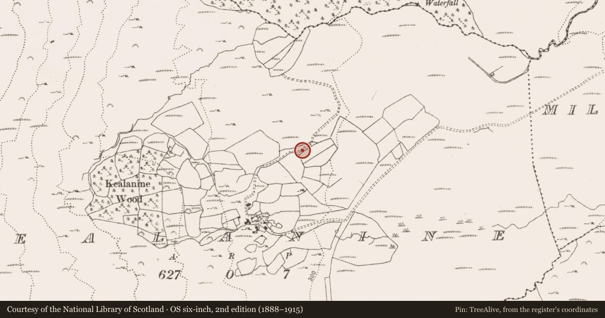 Ordnance Survey six-inch map, 2nd edition (1888–1915) covering the location of Inscribed stone, Kealanine, County Cork, with a pin at the register's coordinates