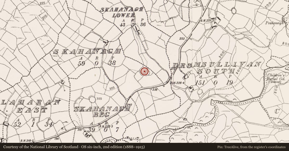 Ordnance Survey six-inch map, 2nd edition (1888–1915) covering the location of Enclosure, Skahanagh, County Cork, with a pin at the register's coordinates