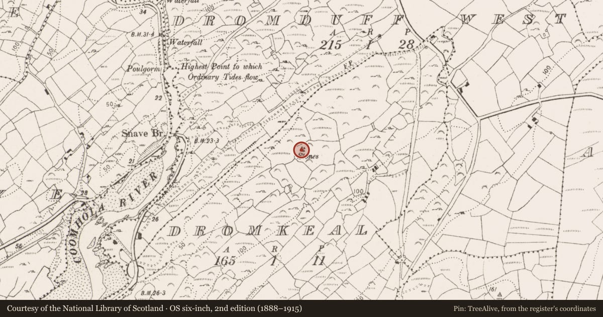 Ordnance Survey six-inch map, 2nd edition (1888–1915) covering the location of Boulder-burial, Dromkeal, County Cork, with a pin at the register's coordinates