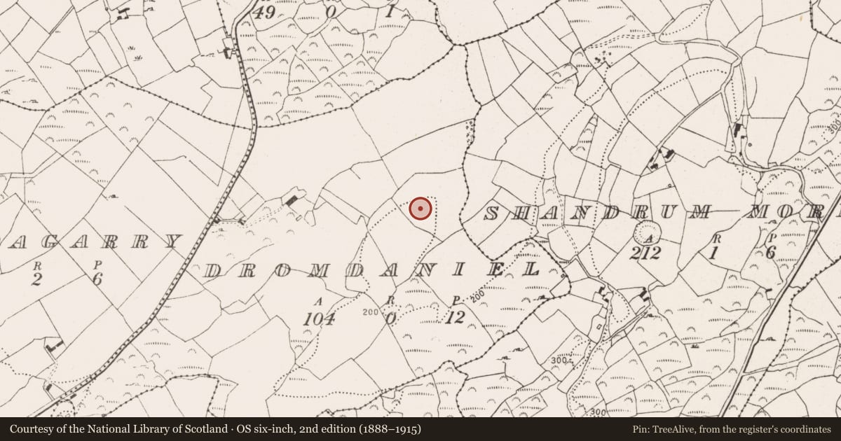 Ordnance Survey six-inch map, 2nd edition (1888–1915) covering the location of Ringfort - rath, Dromdaniel, County Cork, with a pin at the register's coordinates