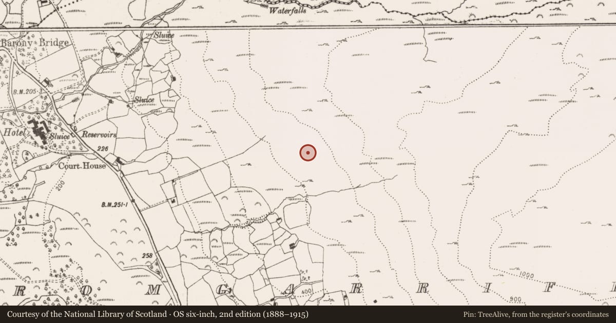 Ordnance Survey six-inch map, 2nd edition (1888–1915) covering the location of Enclosure, Dromgarriff, County Cork, with a pin at the register's coordinates