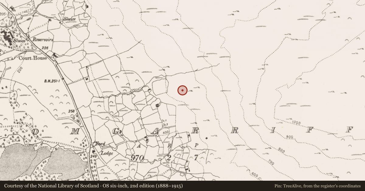 Ordnance Survey six-inch map, 2nd edition (1888–1915) covering the location of Cairn - unclassified, Dromgarriff, County Cork, with a pin at the register's coordinates
