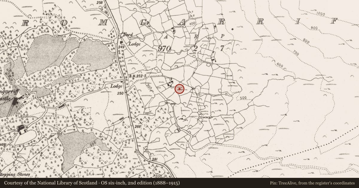 Ordnance Survey six-inch map, 2nd edition (1888–1915) covering the location of Standing stone - pair, Dromgarriff, County Cork, with a pin at the register's coordinates