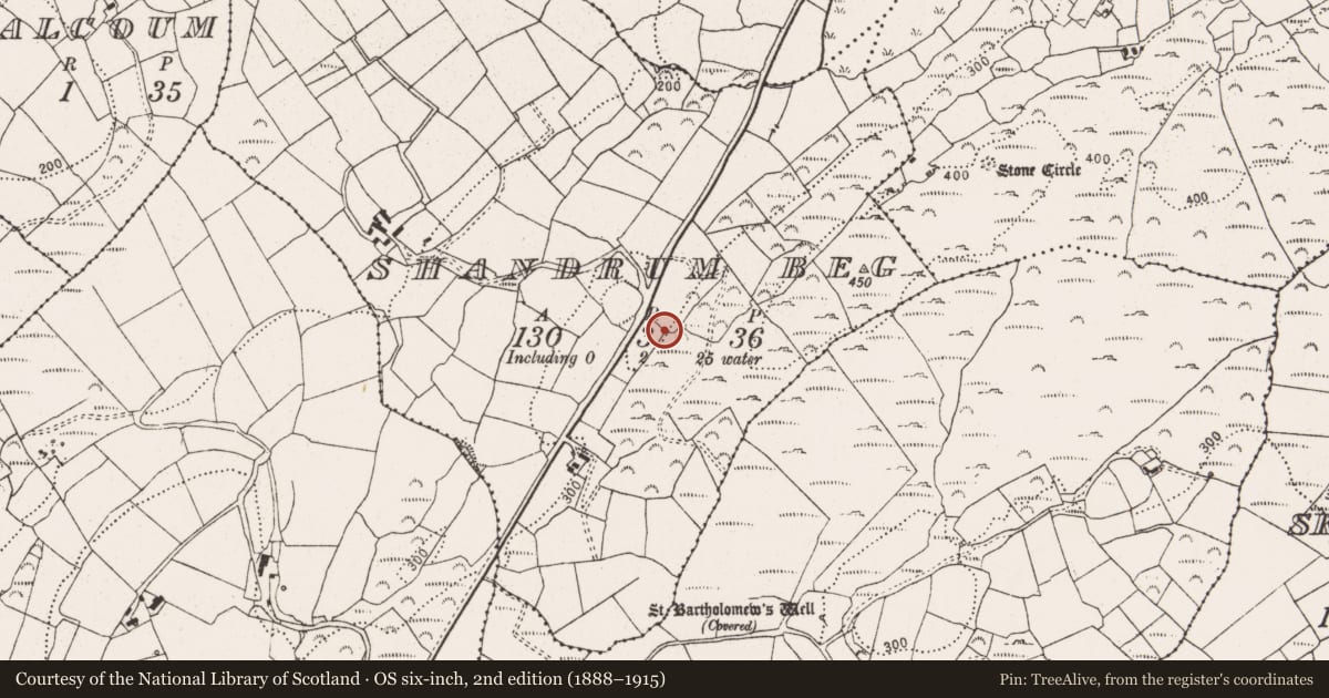 Ordnance Survey six-inch map, 2nd edition (1888–1915) covering the location of Cairn - radial-stone cairn, Shandrum Beg, County Cork, with a pin at the register's coordinates