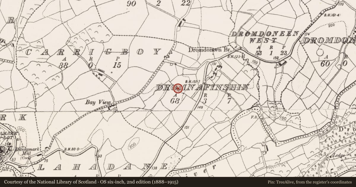 Ordnance Survey six-inch map, 2nd edition (1888–1915) covering the location of Souterrain, Dromnafinshin, County Cork, with a pin at the register's coordinates