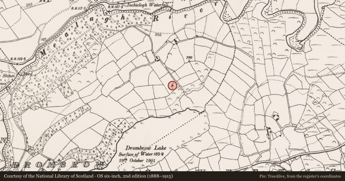 Ordnance Survey six-inch map, 2nd edition (1888–1915) covering the location of Burial ground, Drombrow, County Cork, with a pin at the register's coordinates