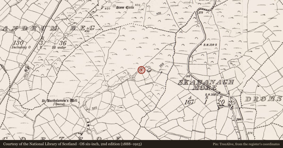 Ordnance Survey six-inch map, 2nd edition (1888–1915) covering the location of Cairn - unclassified, Gortroe, County Cork, with a pin at the register's coordinates