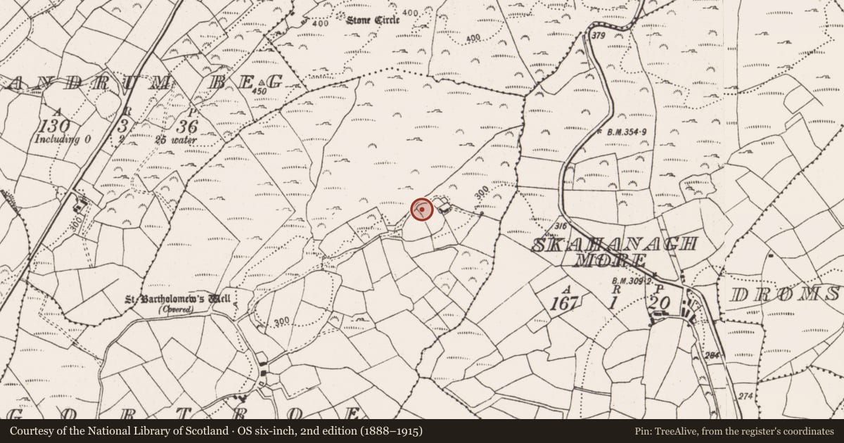 Ordnance Survey six-inch map, 2nd edition (1888–1915) covering the location of Standing stone, Gortroe, County Cork, with a pin at the register's coordinates